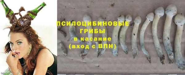 ПСИЛОЦИБИНОВЫЕ ГРИБЫ Баксан
